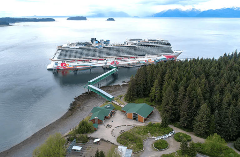 Covid neutralising air purification systems planned for cruise ships
