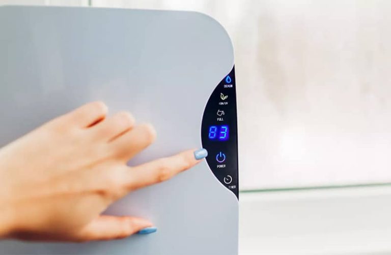 Does a Dehumidifier Make a Room Cooler? Experts Explain How Yours Could Help Beat the Heat