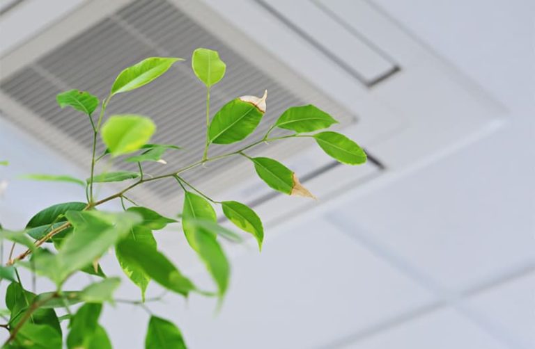 The Importance of Validation and Testing for Indoor Air Quality Technology