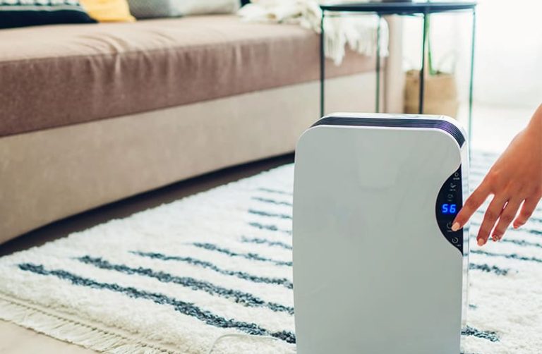 Does a Dehumidifier Make a Room Cooler? Experts Explain How Yours Could Help Beat the Heat