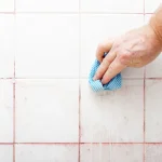 Defeating Pink Mold: Prevention, Removal, and Recommended Products