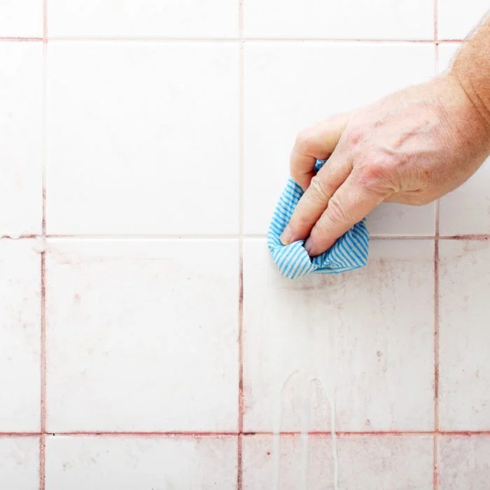 Defeating Pink Mold: Prevention, Removal, and Recommended Products