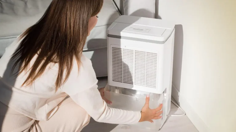 These Are the 10 Best Dehumidifiers to Banish Mold and Damp This Spring