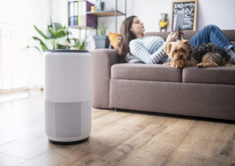 The Trade Secret to Buying an Air Purifier That Actually Works (So You Can Breathe Easier!)