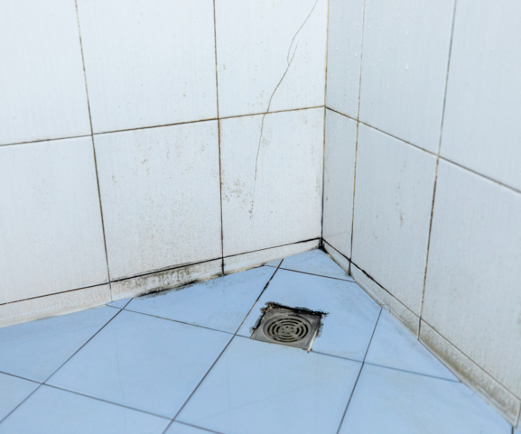 Real Simple – 8 Reasons There’s Mold Growing in Your Bathroom — and How to Prevent It for Good