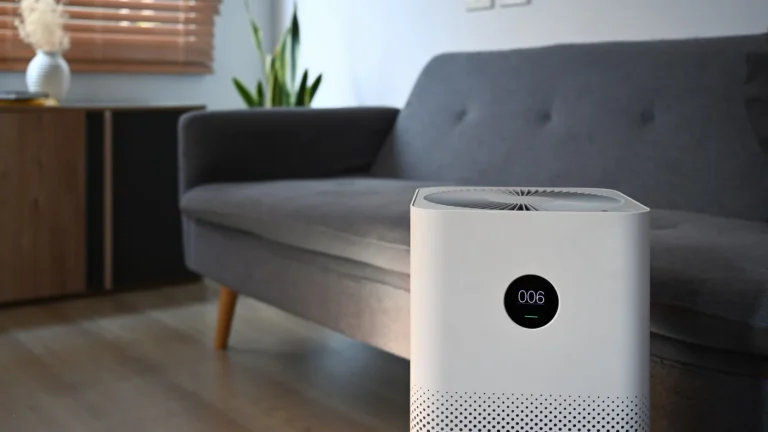 Can Air Purifiers Prevent Sickness? Experts Weigh In