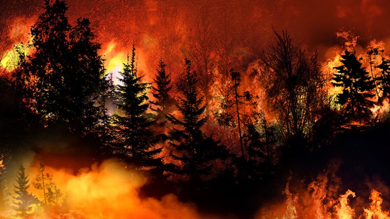 Safeguarding Buildings from Wildfire Smoke: Restoration and Remediation Insights