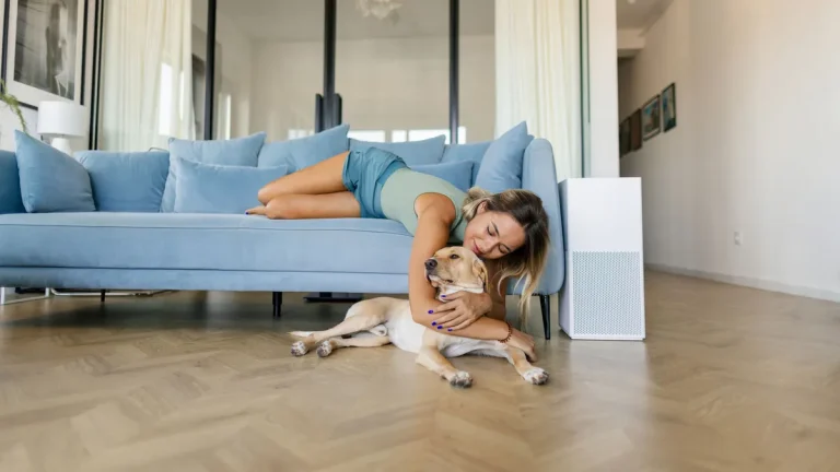 Best air purifiers for pet owners 2025: Remove pet dander, hair and odors