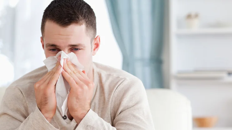 Do air purifiers help with hay fever?