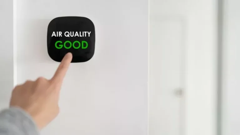 Indoor Air Quality Q&A: Mold, Moisture and Ventilation