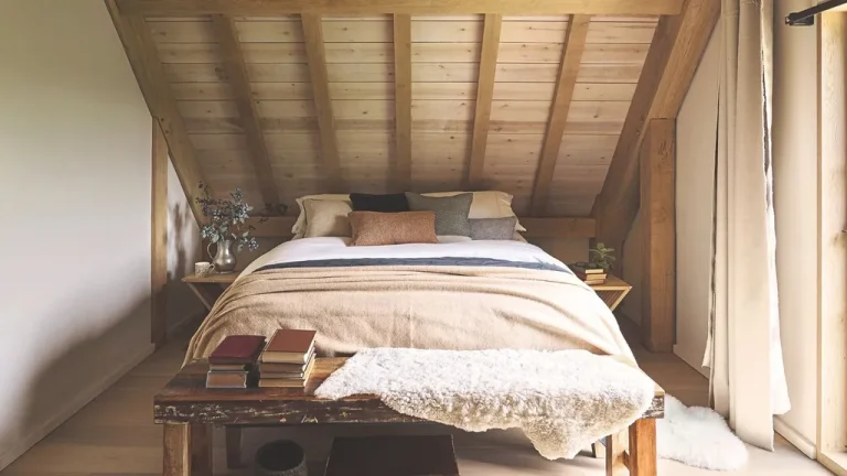 5 Warning Signs You Should Check Your Attic for Mold This November – and the Simple DIY Solution Experts Reveal Will Slow the Growth