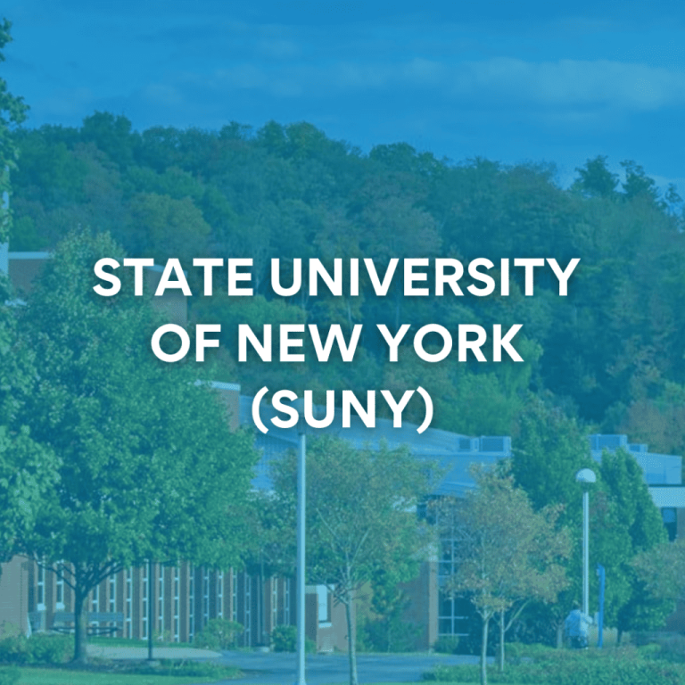 Case Study – Pace University